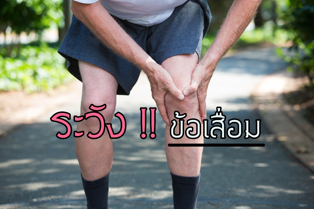 ระวัง !! ข้อเสื่อม thaihealth