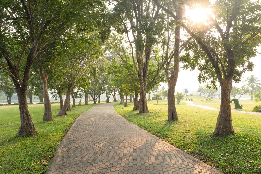 ตรวจสอบไฟฟ้า/เครื่องเล่นสวนสาธารณะ thaihealth