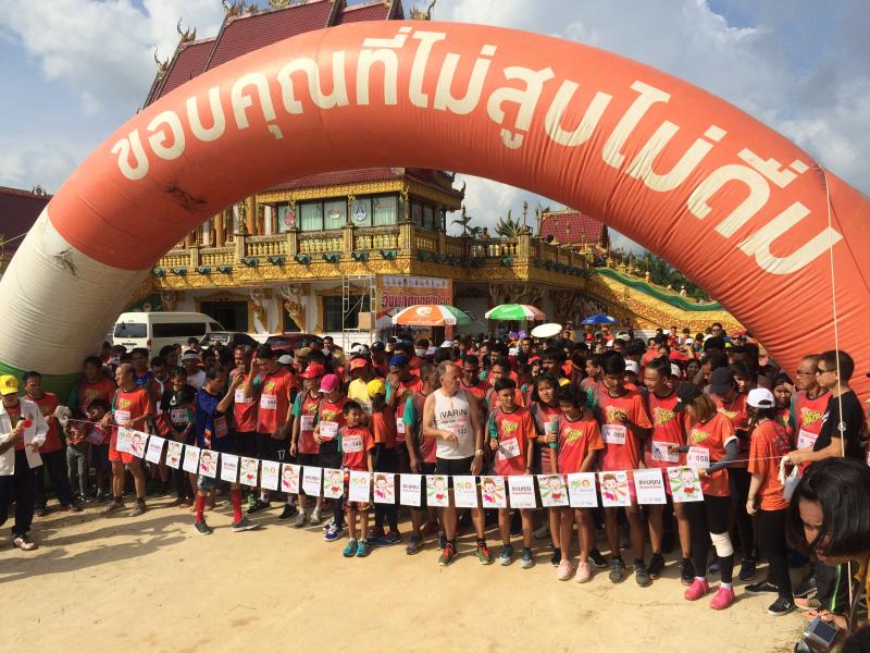 วิ่งพักตับ ขยับปอด ที่ภูเขาหญ้า  thaihealth