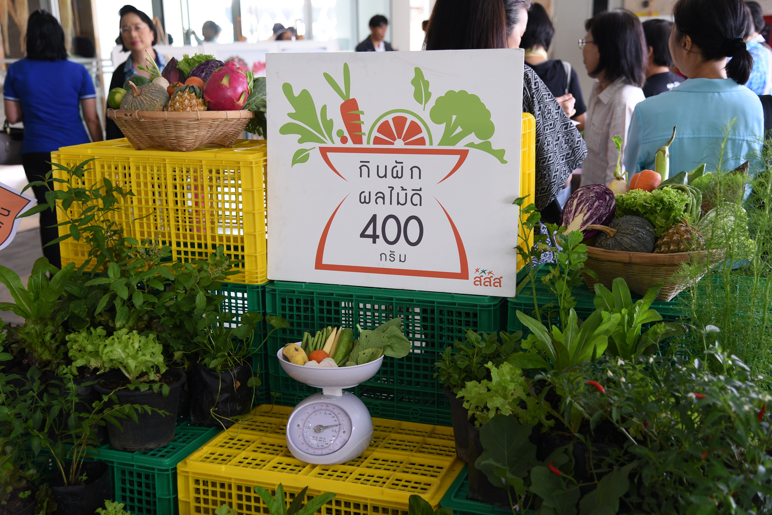 'ผักผลไม้อย่างน้อย 400 กรัม' ป้องกันโรค-ช่วยชะลอวัย thaihealth