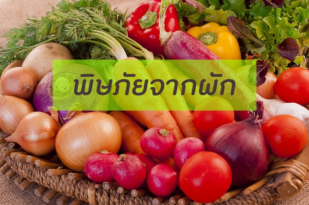 พิษภัยจากผัก thaihealth