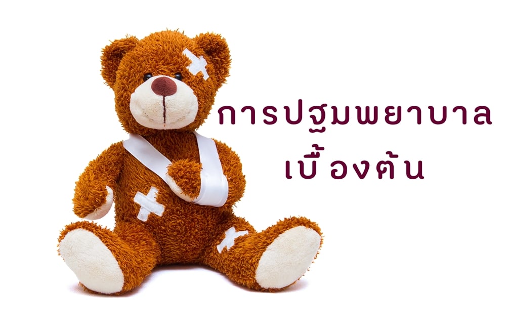 การปฐมพยาบาลเบื้องต้น  thaihealth