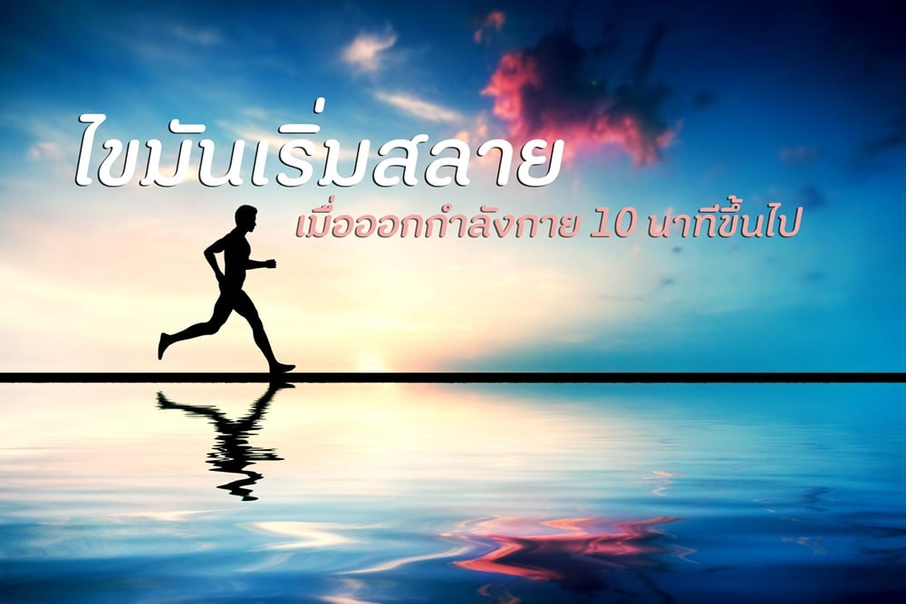 ไขมันเริ่มสลาย เมื่อออกกำลังกาย 10 นาทีขึ้นไป thaihealth