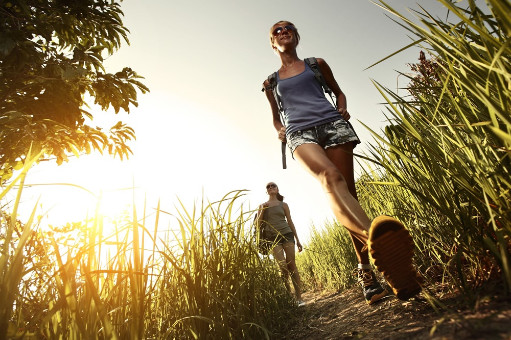 เตือนนักท่องเที่ยวเดินป่าระวังสัตว์มีพิษ thaihealth