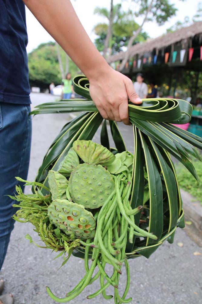 ตลาดสุขใจ Kick Off รวมพลัง 'รักษ์โลก' thaihealth