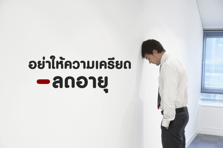 อย่าให้ความเครียดลดอายุ thaihealth