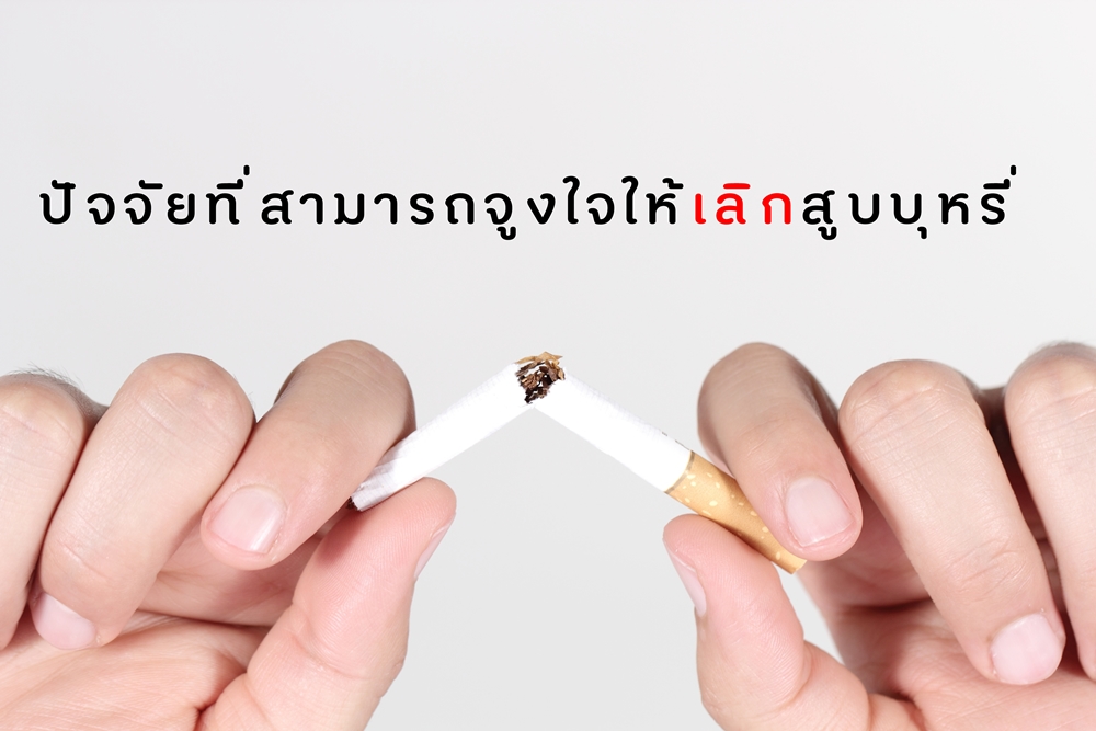 ปัจจัยที่สามารถจูงใจให้เลิกสูบบุหรี่ thaihealth