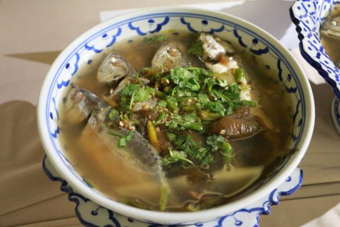 เทศกาลกินปลาทูและของดีเมืองแม่กลอง 'ตอนปลาทูคู่โลก' thaihealth