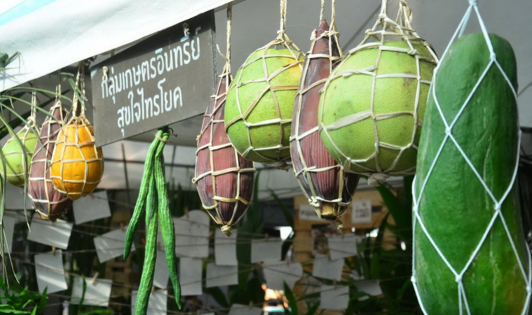 เปิด 'งานสังคมสุขใจ' ครั้งที่ 5 thaihealth