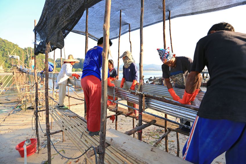 ตรวจสภาพการจ้างและการทำงานแรงงาน  thaihealth