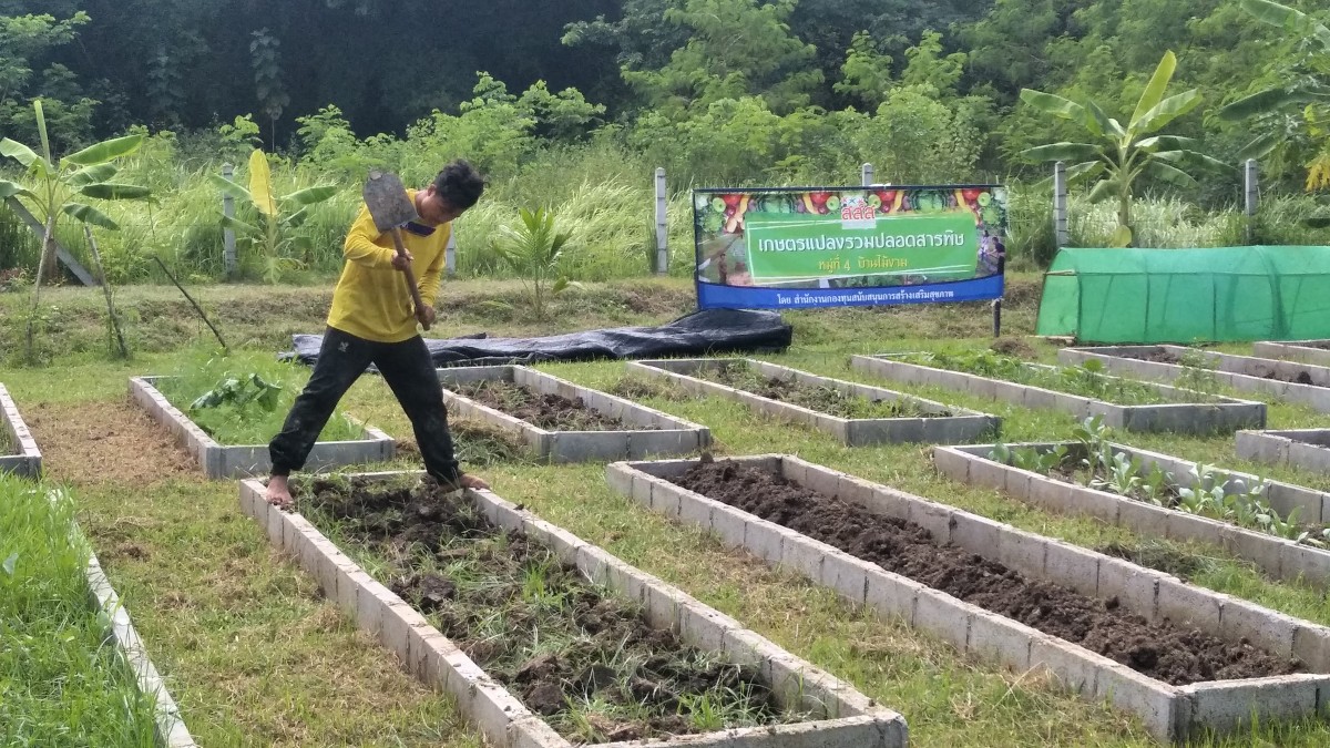 'ฟาร์มชุมชนบ้านไม้งาม' รวมคนรุ่นใหม่หัวใจเกษตรปลอดภัย thaihealth