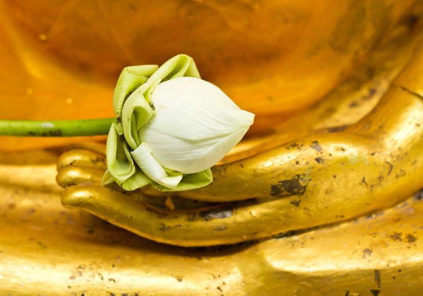 ปีใหม่ แนะผู้สูงอายุสวดมนต์ข้ามปีกับลูกหลาน thaihealth