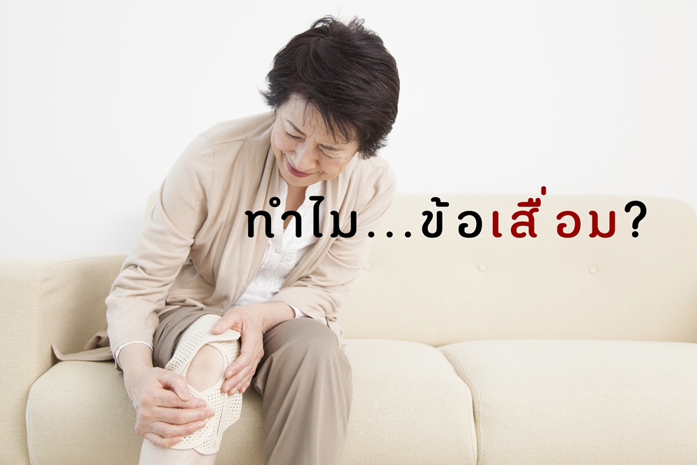 ทำไมข้อเสื่อม? thaihealth