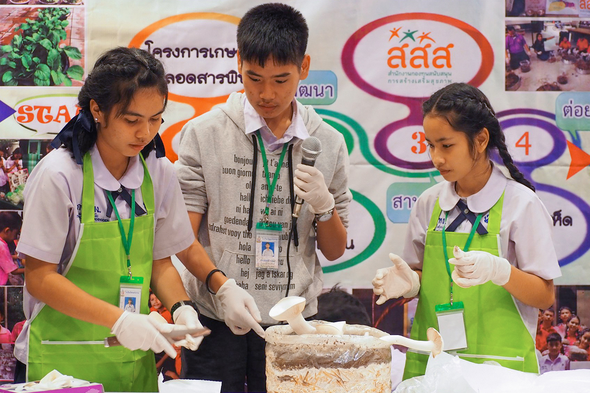 ชุมชนโรงเรียนเด็กกินผัก 2018 ชวนเด็กปลูก ปรุง วัตถุดิบอินทรีย์ thaihealth