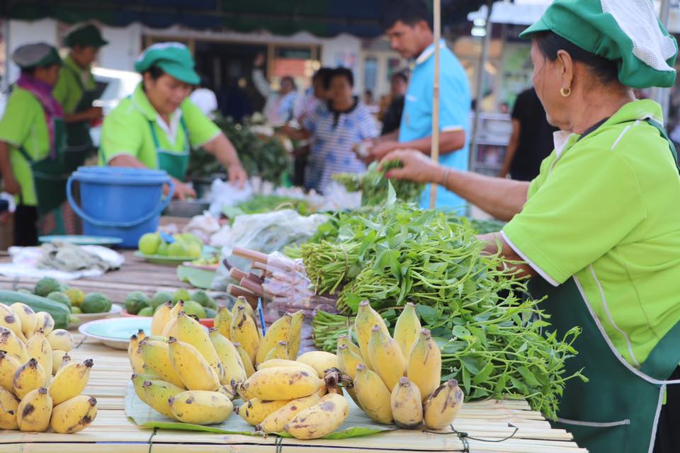 ตลาดปลอดสารพิษโรงพยาบาลบรบือ thaihealth