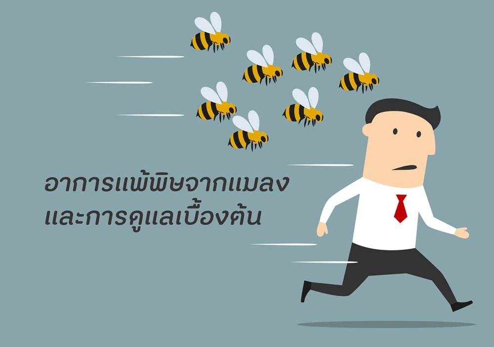 อาการแพ้พิษจากแมลง และการดูแลเบื้องต้น thaihealth