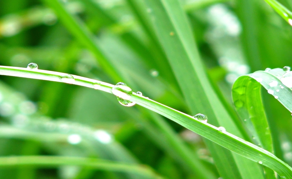 ไทยตอนบนเย็น-มีหมอก ภาคใต้ฝนลดลง thaihealth