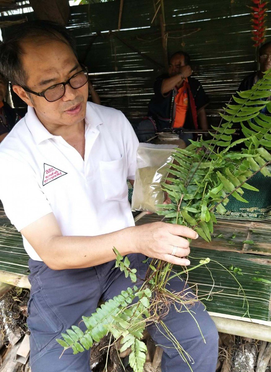 'ห่อทีหล่า' ชูรสดอย thaihealth