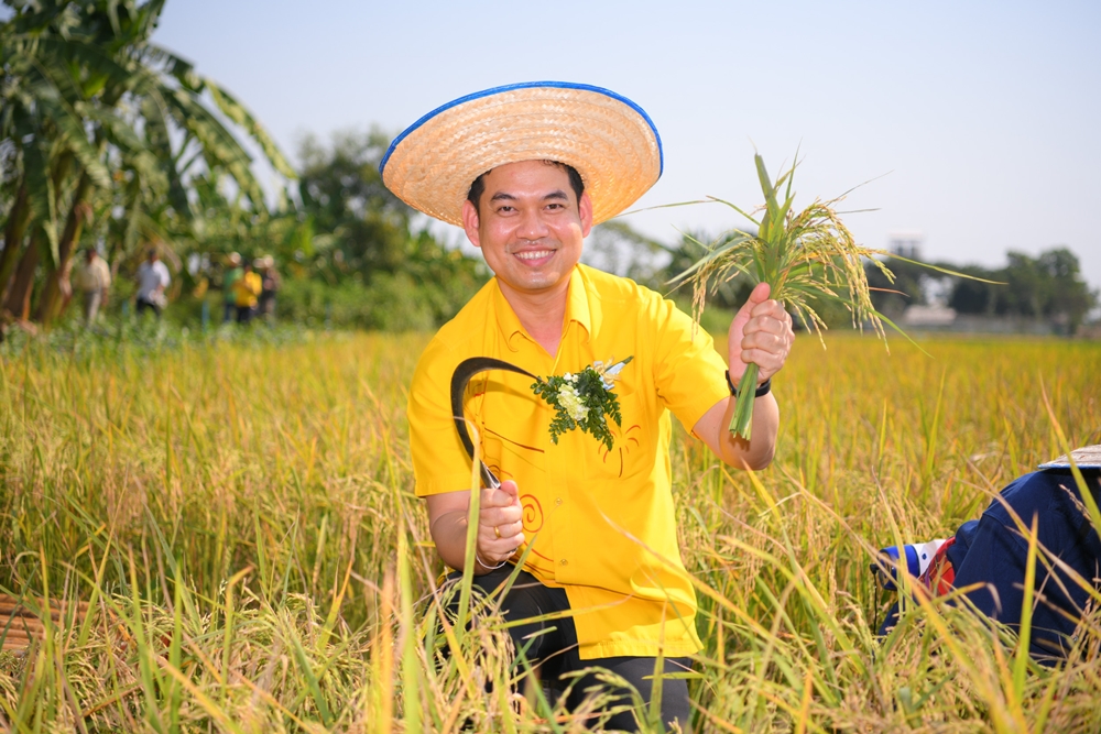 จากพื้นที่เคมี สู่พื้นที่สุขภาพ ถอดรหัสฟาร์มสร้างสุข thaihealth