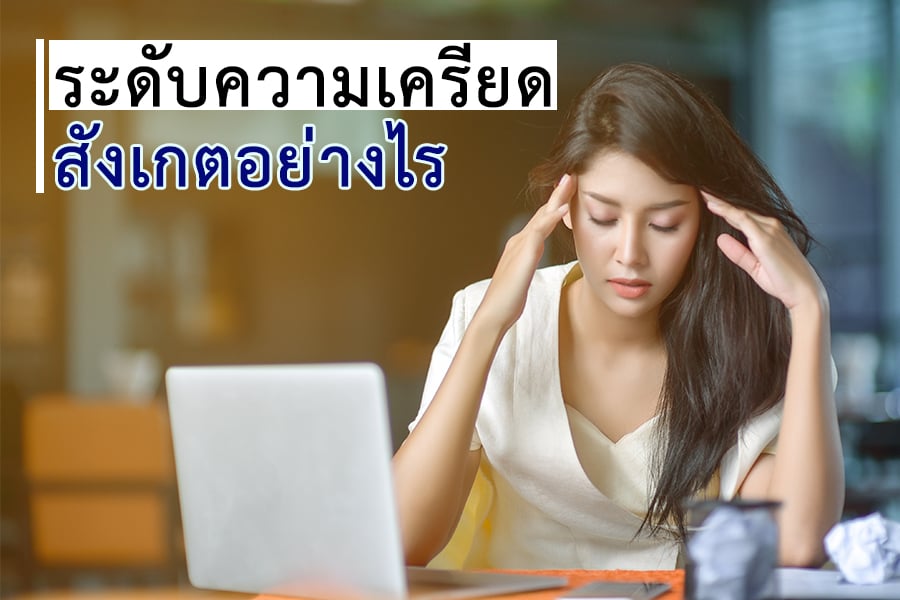 ระดับความเครียดสังเกตอย่างไร  thaihealth