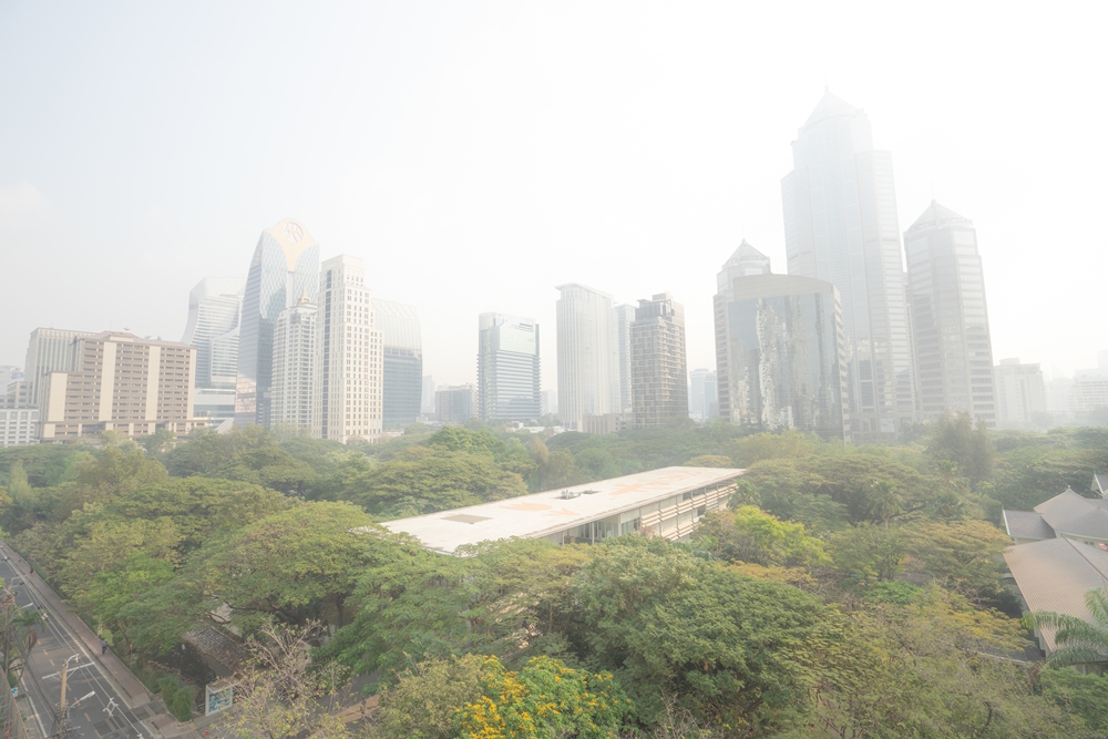 สวนดุสิตโพล เผย ความคิดเห็น ปชช.ต่อ สถานการณ์ฝุ่น thaihealth
