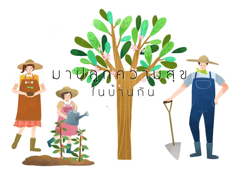มาปลูกความสุขในบ้านกัน thaihealth