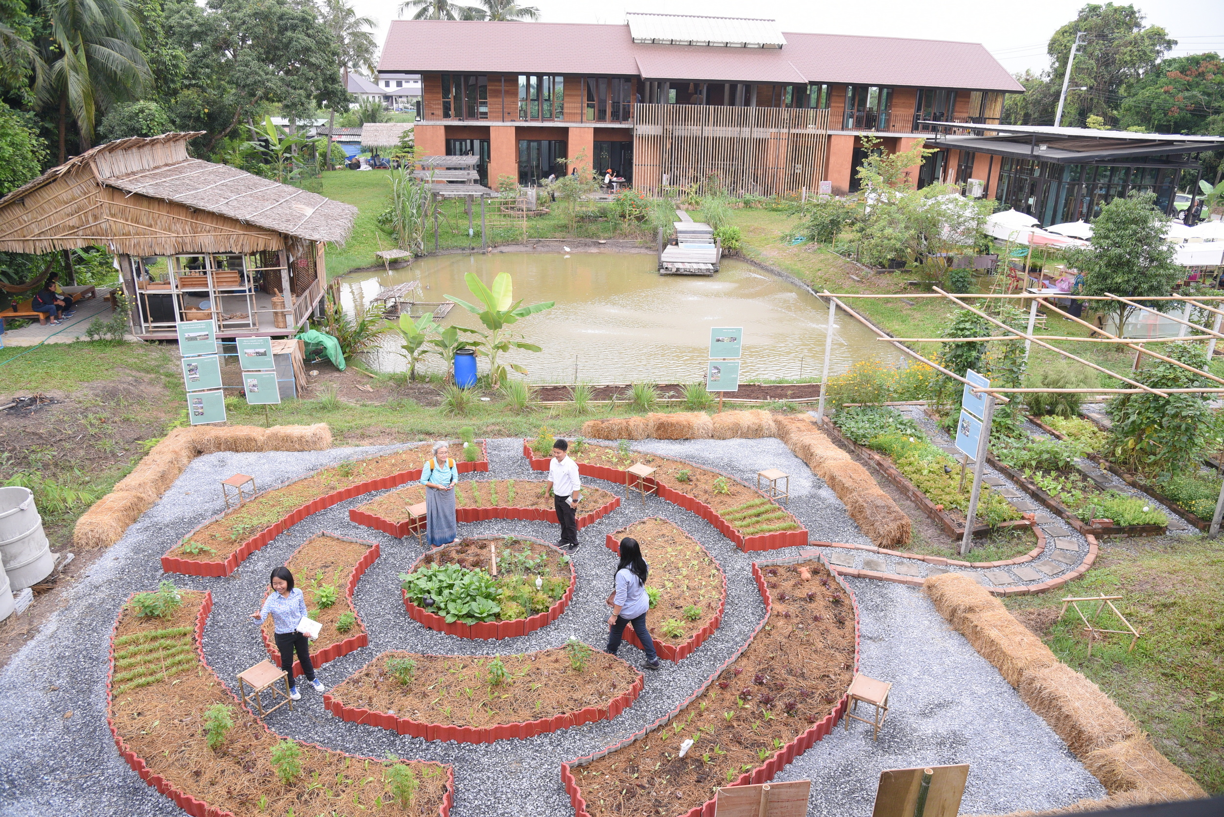'สวนผักคนเมือง' แบ่งปันพื้นที่สร้างอาหารยั่งยืน thaihealth
