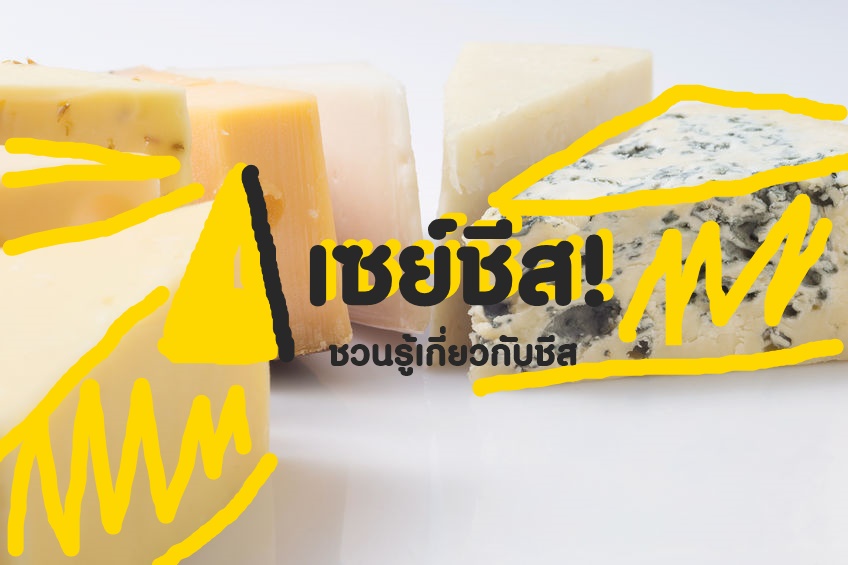 เซย์ชีส! ชวนรู้เกี่ยวกับชีส thaihealth