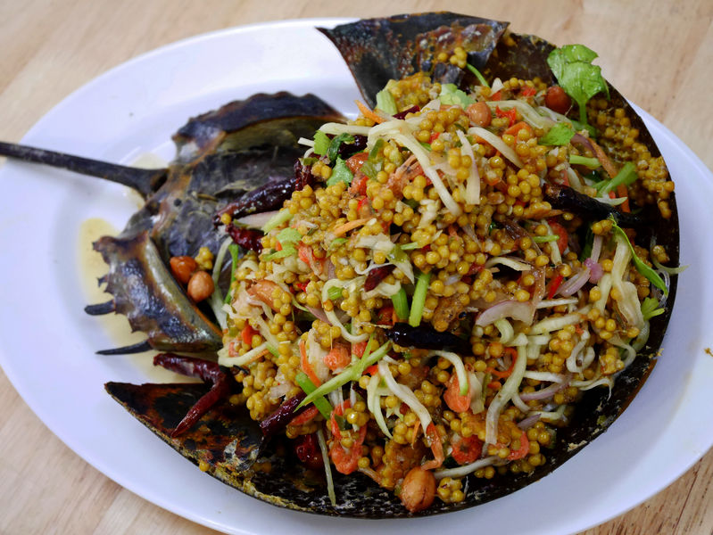 เตือนประชาชนอย่าสับสนรับประทานไข่แมงดาที่มีพิษ  thaihealth