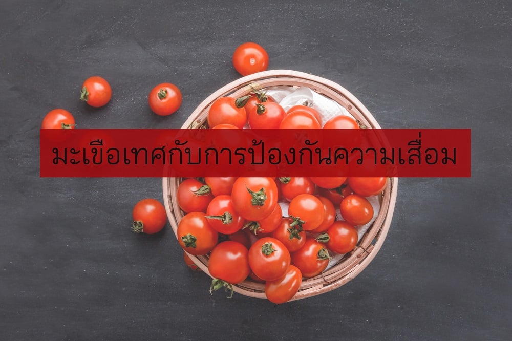 มะเขือเทศกับการป้องกันความเสื่อม thaihealth
