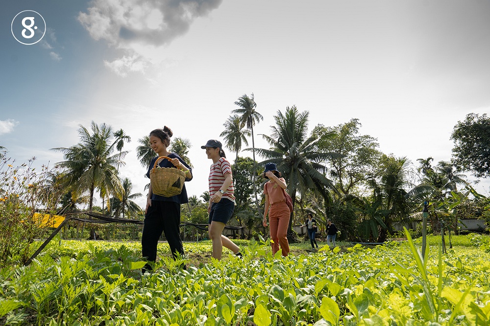 Greenery Trip 01 ผจญภัยในสวนอินทรีย์ thaihealth