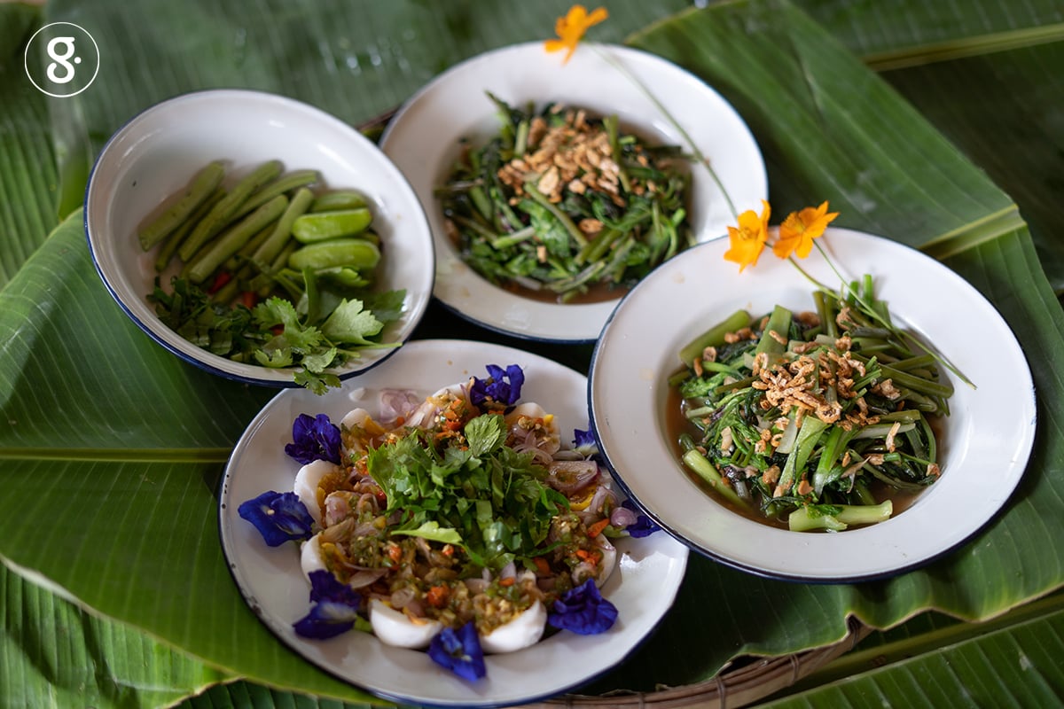 กิน ช็อป เที่ยวสวนมะพร้าว กับ Greenery Trip 01  thaihealth
