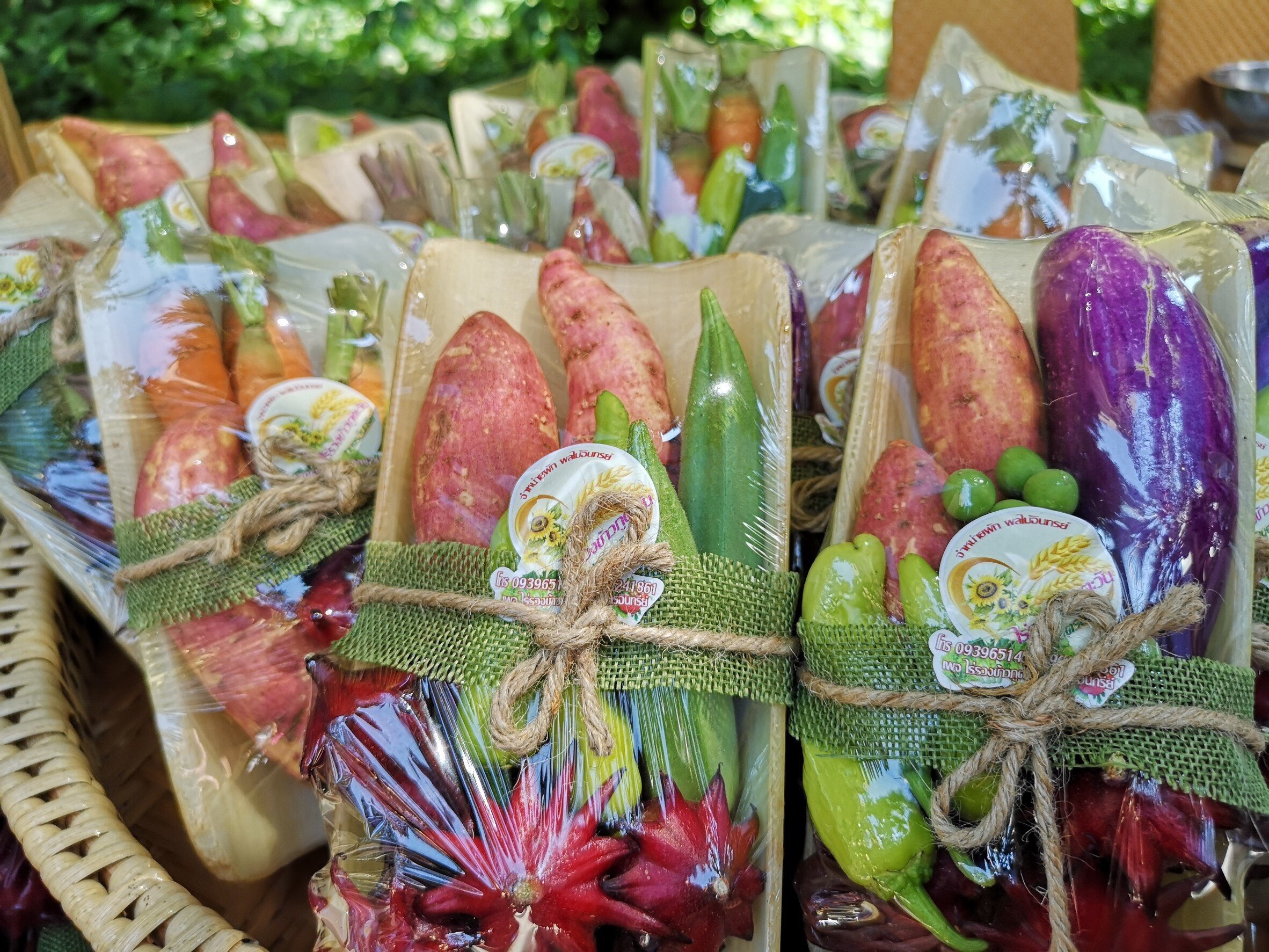 Organic Tourism จับมือเกษตรกรร่วมสร้างระบบอาหารสมดุล  thaihealth