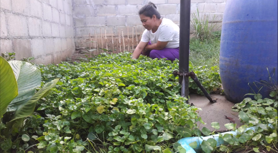'บ้านพังเหาลั่น' เหมือนได้ชุมชนกลับคืน thaihealth