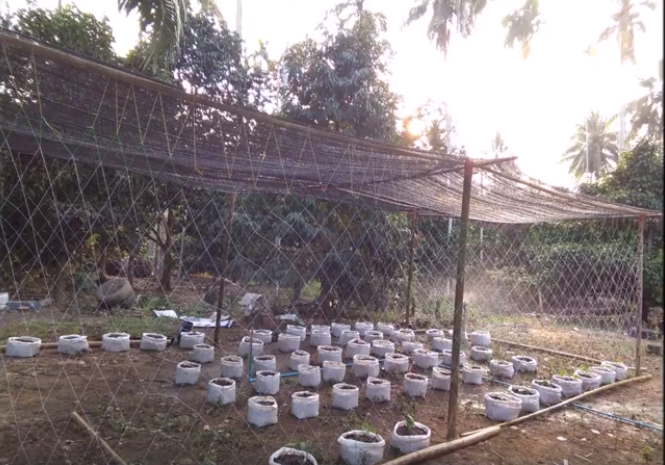 'บ้านพังเหาลั่น' เหมือนได้ชุมชนกลับคืน thaihealth
