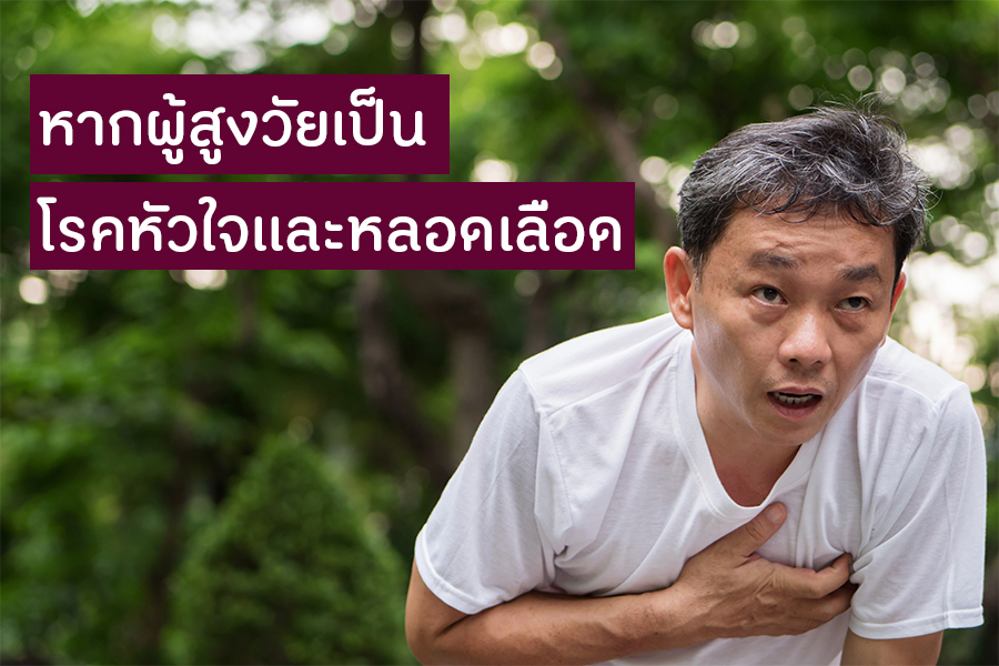 หากผู้สูงวัยเป็นโรคหัวใจและหลอดเลือด thaihealth