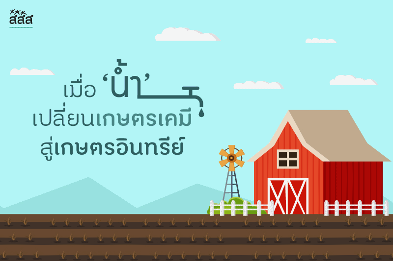 เมื่อ ‘น้ำ’ เปลี่ยนเกษตรเคมีสู่เกษตรอินทรีย์ thaihealth