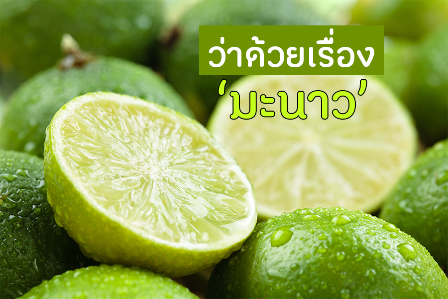 ว่าด้วยเรื่อง มะนาว thaihealth