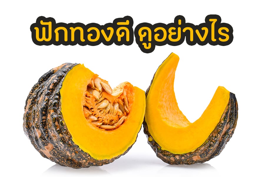 ฟักทองดี ดูอย่างไร thaihealth