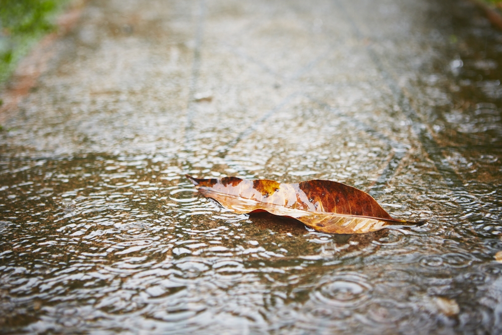 ระวังพายุฝนฟ้าคะนอง ลมกระโชกแรง  thaihealth