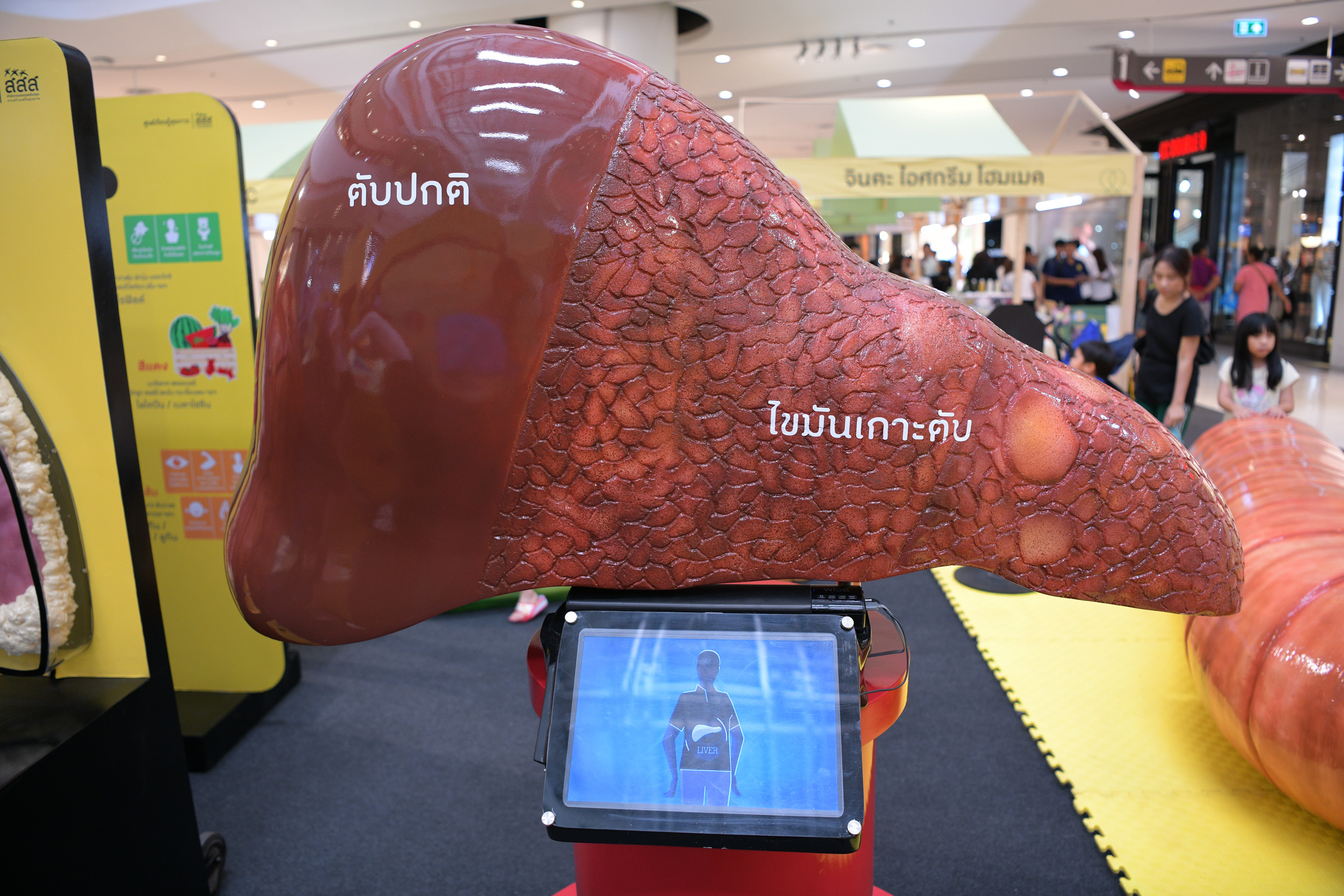 ชวนกันมา 'เปลี่ยน' ต่อยอดภารกิจ 'ลดพุง ลดโรค' thaihealth
