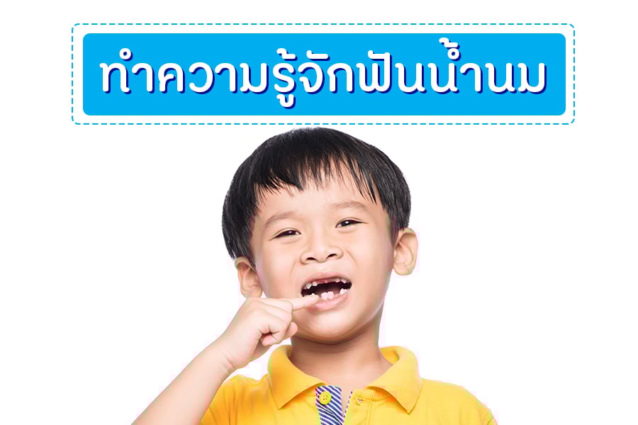ทำความรู้จักฟันน้ำนม  thaihealth