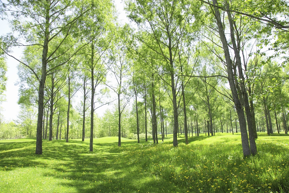ค่าฝุ่นละออง PM 2.5 จังหวัดเลยอยู่ในเกณฑ์ดีมาก thaihealth