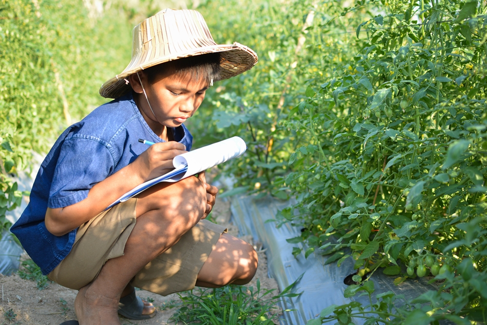 กรมส่งเสริมการเกษตรขยายผลเกษตรจากโรงเรียนสู่ชุมชน thaihealth