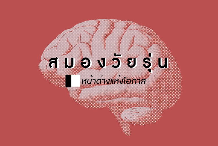สมองวัยรุ่น...หน้าต่างแห่งโอกาส thaihealth