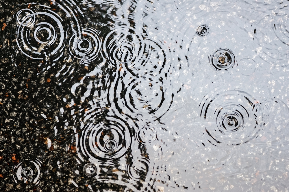 ระวัง ฝนฟ้าคะนองและลมกระโชกแรง  thaihealth