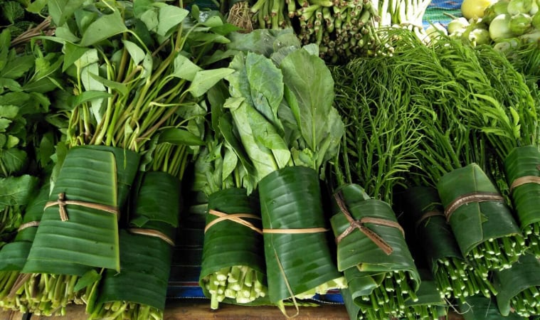 ตลาดสุขใจ...โดยชนชรา ต้นแบบหีบห่อจากธรรมชาติ thaihealth