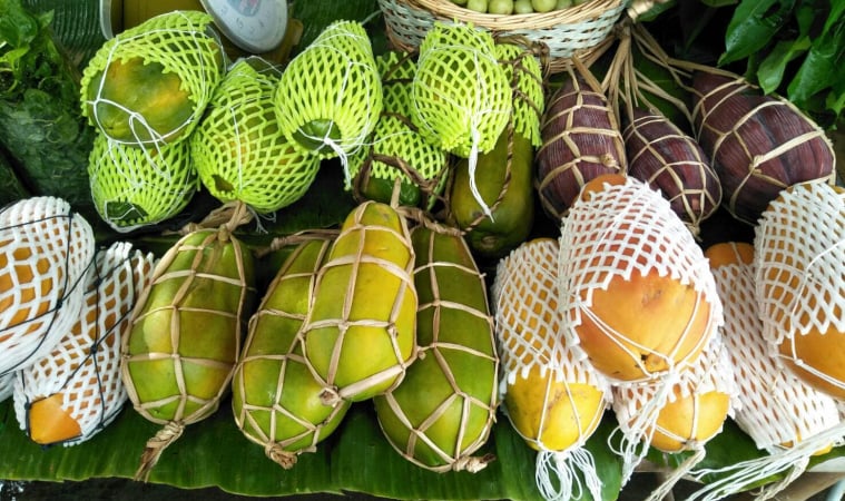 ตลาดสุขใจ...โดยชนชรา ต้นแบบหีบห่อจากธรรมชาติ thaihealth