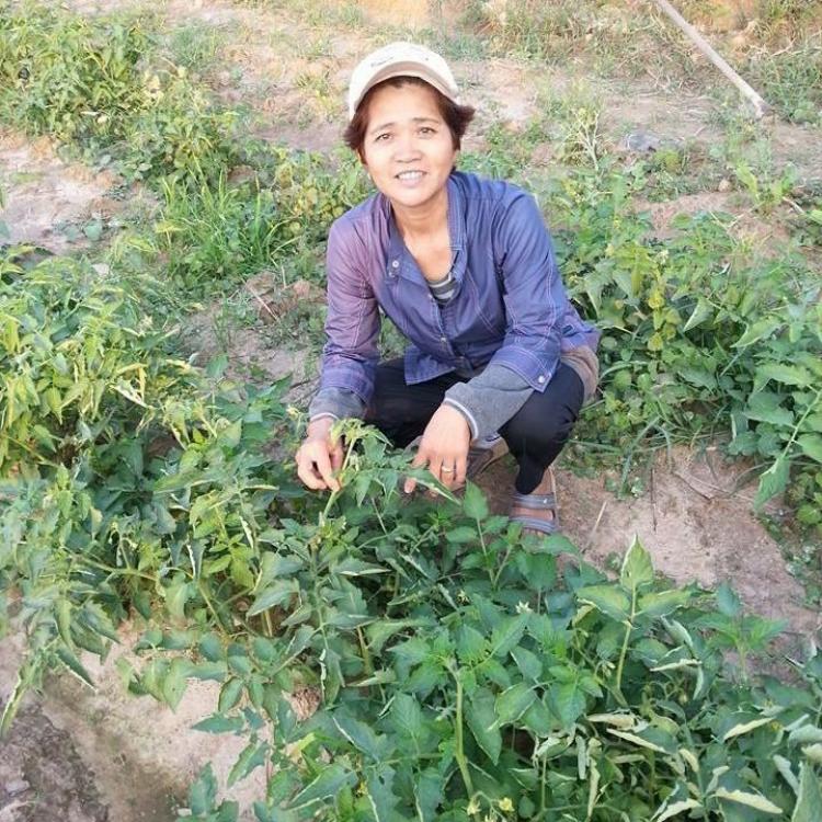 เทศบาลตำบลพุเตย หนุนแนวคิดเปลี่ยนผักพิษให้ปลอดภัย thaihealth