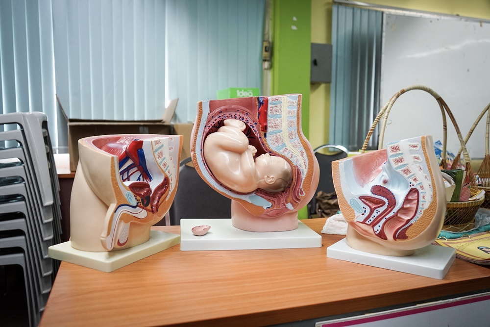 เปิดเวทีให้ความรู้วัยรุ่น ป้องกันโรคติดต่อทางเพศสัมพันธ์ thaihealth